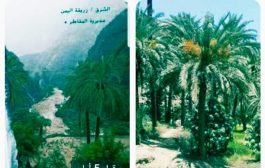 وادي زريقة اليمن تاريخ عريق وواقع مؤلم