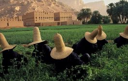 دراسة لجامعة نايف العربية.. انتشار المبيدات وغياب الوعي أبرز مهددات الأمن البيولوجي في اليمن