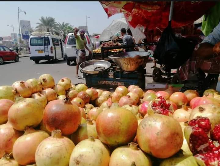 فواكه صعدة بعدن.. هل يصلح الرمان ما أفسدته القذائف؟