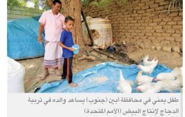 انقلابيو اليمن يحظرون توزيع البيض إلى المناطق الخاضعة للشرعية