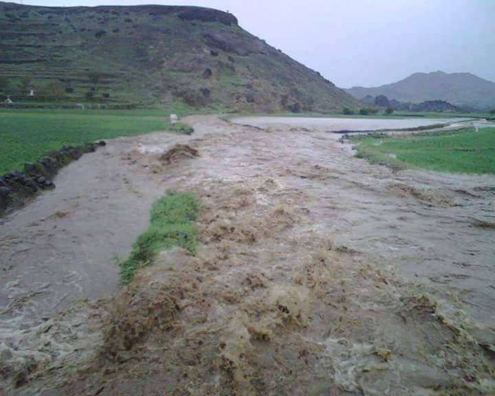 صور .. سيول الأمطار تخرج كنوز ثمينة من تحت الأرض في الجوف