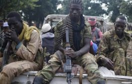 لماذا تنتشر الجماعات الإسلاموية شبه العسكرية في أفريقيا؟