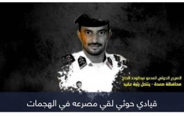 نزيف الحوثي يتواصل.. مقتل قياديين بارزين في الحديدة