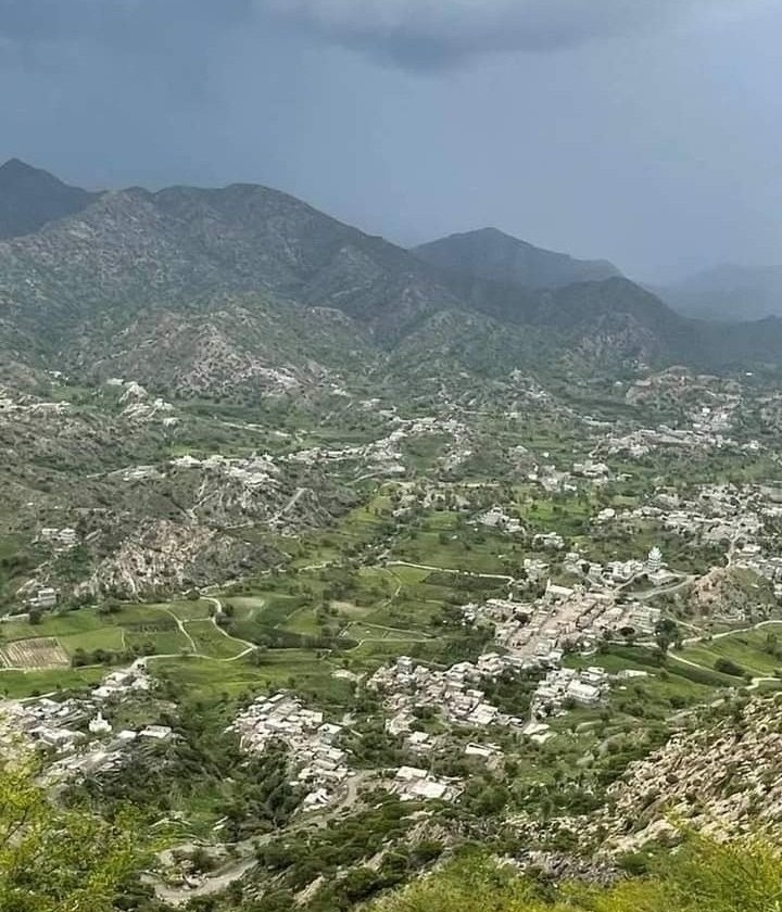 في جريمة هزت يافع .. أمن رصد يقبض على قاتل زوجته وبنته 