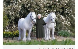 الملك تشارلز يبيع خيولا خاصة بوالدته الراحلة