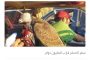 اتفاق هام بين وزارة العدل اليمنية والمعهد العالي للقضاء المغربي 