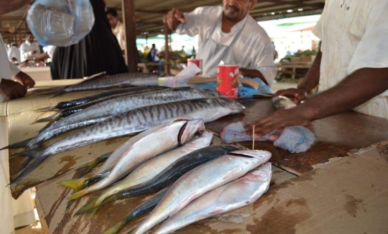 دارسة وتوجه بوقف تصدير المنتجات السمكية والزراعية خارج اليمن