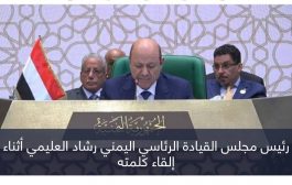 العليمي يدعو القادة العرب لتصنيف مليشيات الحوثي منظمة إرهابية