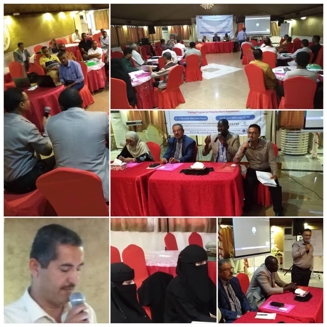 عدن .. بدأ برنامج تدريبي في تقييم المخزون السمكي