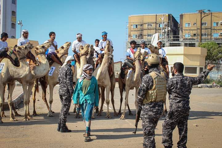 اتحاد الفروسية والهجن ينظم السباق الأول للهجن في عدن