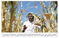 فساد الحوثيين يهدد البيئة الزراعية والأمن الغذائي