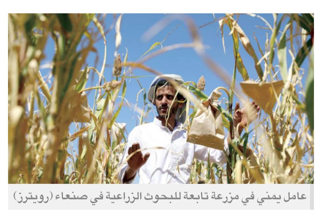 فساد الحوثيين يهدد البيئة الزراعية والأمن الغذائي