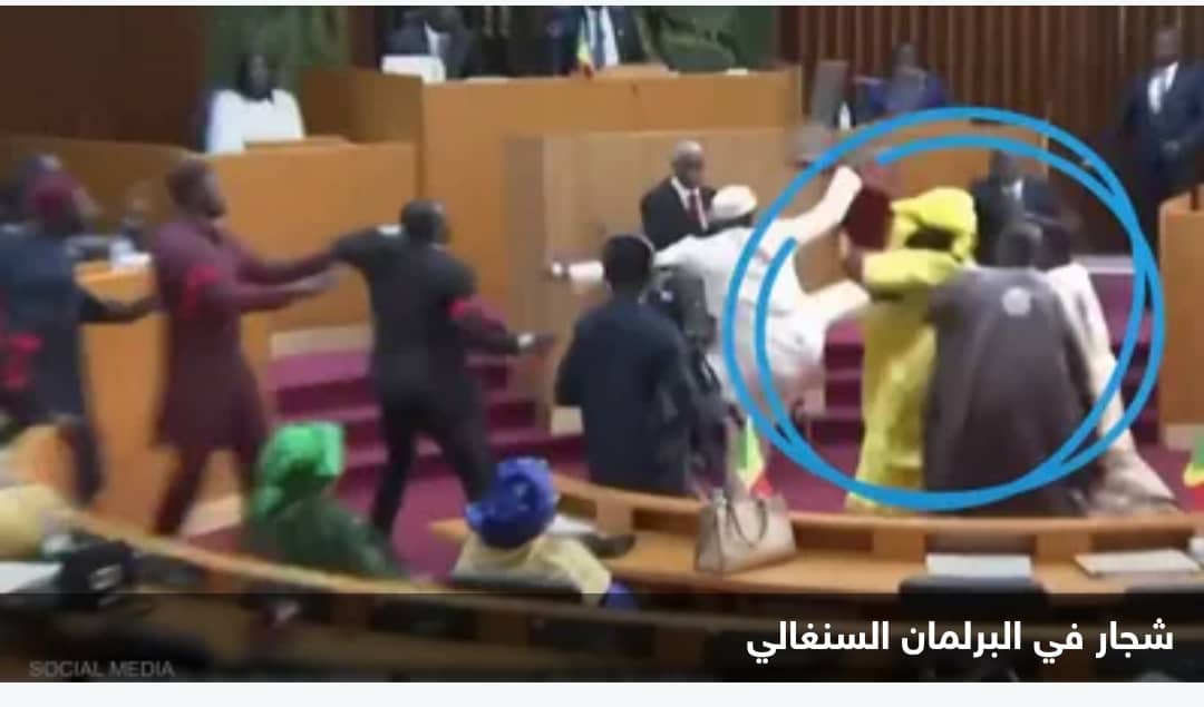 لكمات وضرب بالكراسي.. فيديو لعراك في البرلمان السنغالي