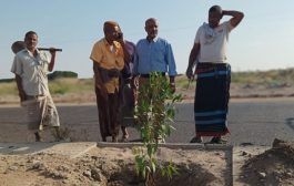 لحج .. تدشبن المرحلة الجديدة من عملية تشجير الخط العام هران - المحلة