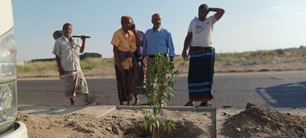 لحج .. تدشبن المرحلة الجديدة من عملية تشجير الخط العام هران - المحلة