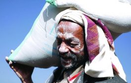 منظمة إغاثية: نجحنا في منع وقوع مجاعة في اليمن خلال العام الحالي