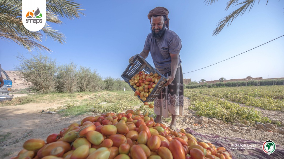 وكالة تنمية المنشآت الصغيرة والأصغر تختتم مشروع دعم سُبل العيش