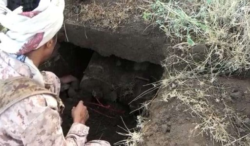 القوات المشتركة تكشف عن وجود شبكة ألغام على طريق عام في حيس