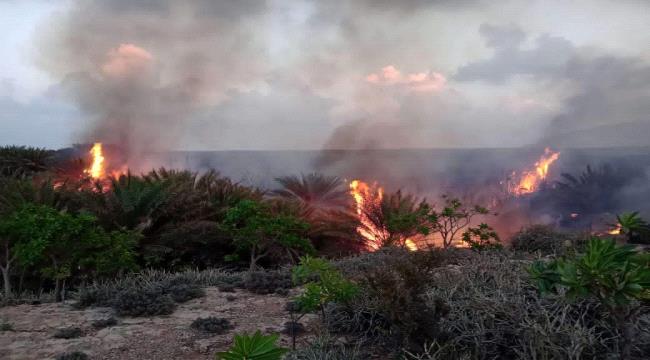 حريق في مزارع النخيل بسقطرى