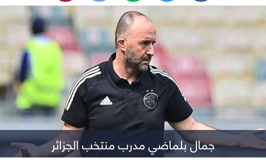 من إسبانيا.. جمال بلماضي يجهز مفاجأة جديدة لمنتخب الجزائر