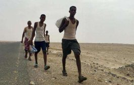 المنظمة الدولية للهجرة تعلن عن عدد المهاجرين الأفارقة الذين تم إعادتهم إلى بلادهم من اليمن