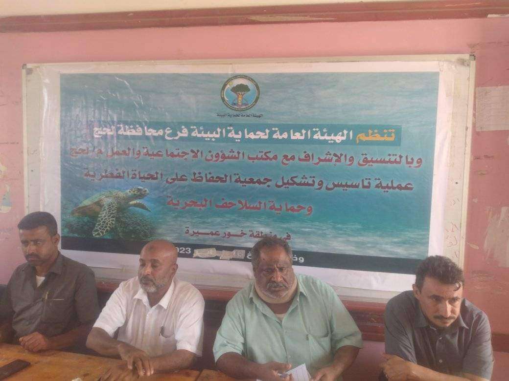لحج .. تأسيس جمعية لحماية الحياة الفطرية والسلاحف البحرية