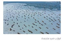 تجمد المئات من قوارب الصيد العالقة في بحر الصين