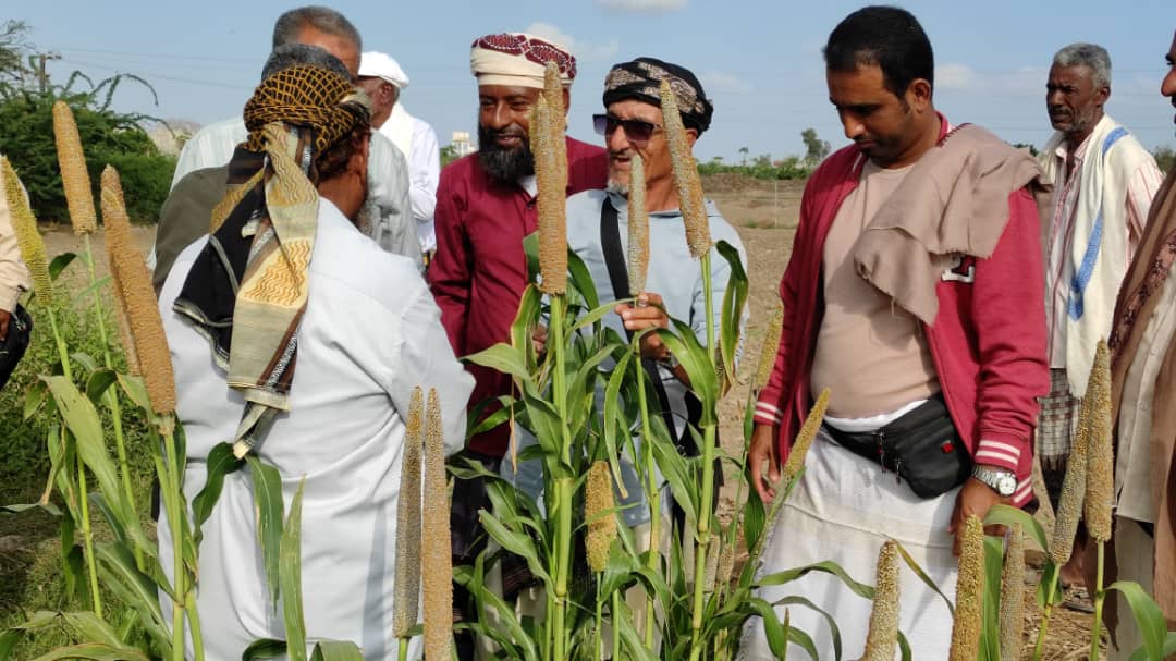 وكيل وزارة الزراعة للقطاع الانتاجي وزيارة ميدانية لعدد من المواقع الزراعية بأبين