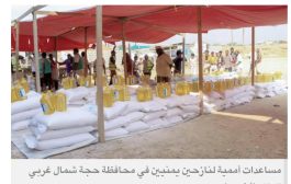 استراتيجيات حكومية ودولية لمواجهة انعدام الأمن الغذائي في اليمن