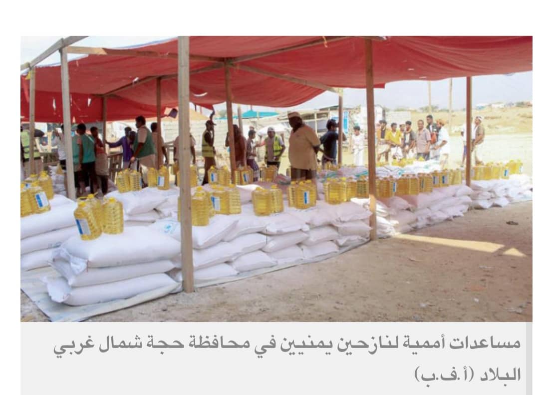 استراتيجيات حكومية ودولية لمواجهة انعدام الأمن الغذائي في اليمن