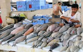 محافظ حضرموت يوجه بإيقاف تصدير بعض أنواع الأسماك إلى الخارج