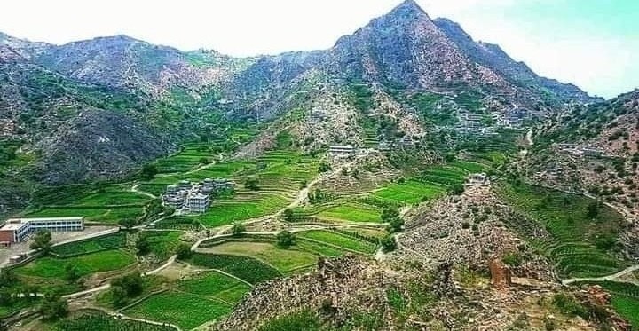 فتح مظاريف مناقصة في مشروع طريق الفقيد منصور نصر شايف بيافع