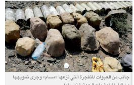 القصيبي: الحوثيون حولوا علب الفول وجذوع النخيل إلى ألغام متفجرة