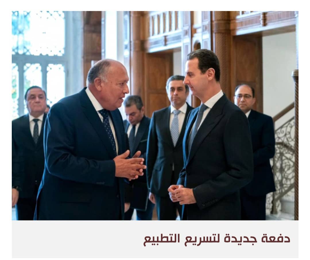 القاهرة تُخرج اتصالاتها السرية مع سوريا وتركيا إلى العلن