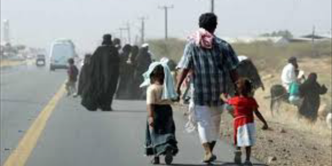 الهجرة الدولية تعلن عن نزوح 66 أسرة يمنية