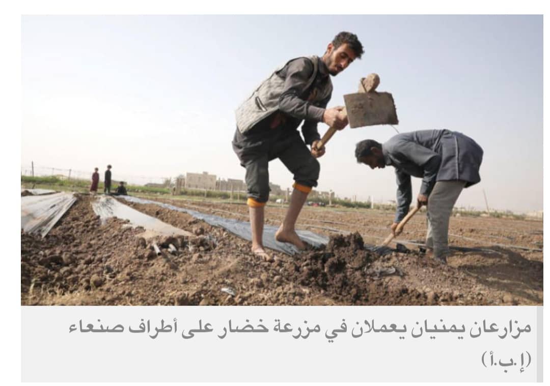 الحوثيون يصادرون الأراضي في إب ويمنحونها لعناصرهم