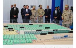 القاهرة تبدأ بشركات الجيش في ماراثون بيع كيانات الدولة