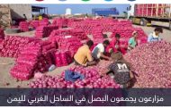 رمضان في اليمن.. ألغام الحوثي تحاصر زراعة 