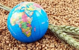 كيف يتعايش العالم مع أزمة الغذاء؟ ومتى يتجاوزها؟
