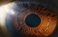 هل وجد العلماء طريقة لعكس فقدان البصر ؟
