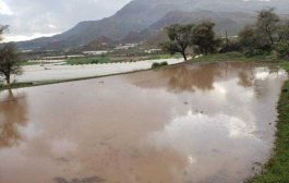 منظمة دولية تحذر من هطول أمطار فيضانية غزيرة باليمن