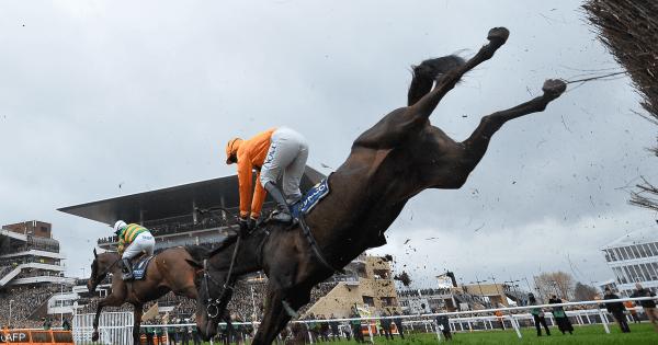 وفاة فارس بعد سقوطه عن صهوة جواده أثناء سباق في أستراليا