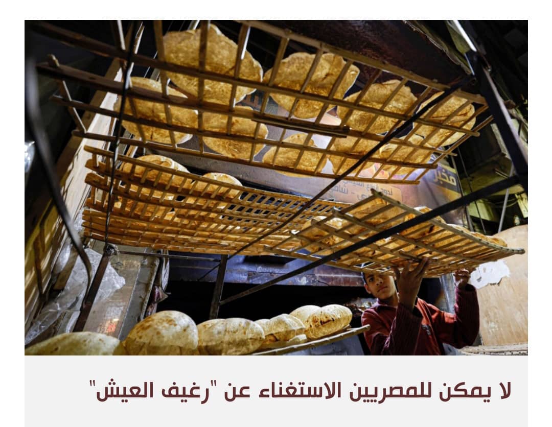 القاهرة توحي بعدم قدرتها على دفع مستحقات واردات القمح بالدولار
