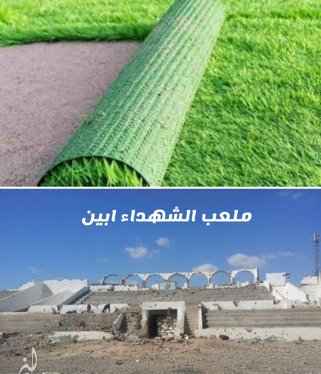 البكري يعيد الحياة لملعب الشهداء بأبين