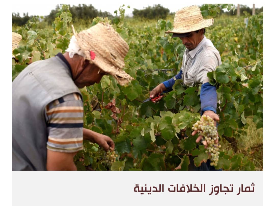 الحوار التشاركي بين الأديان: مفتاح تلبية احتياجات السكان في المغرب