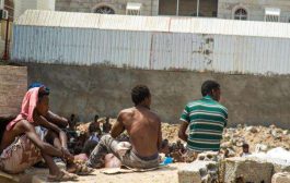 مليشيات  حوثي تجبر المهاجرين الأفارقة على العمال بلا أجور