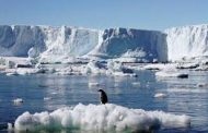دراسة حديثة : جليد القطب الشمالي قد يختفي في غضون 10 سنوات