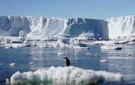 دراسة حديثة : جليد القطب الشمالي قد يختفي في غضون 10 سنوات