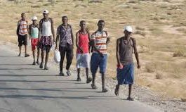 منظمة دولية : تدفق المهاجرين لليمن سيكون الأعلى منذ 5 سنوات