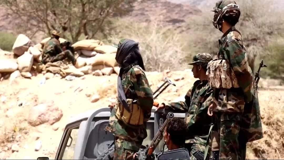 قوات دفاع شبوة تُحبط محاولة تسلل لمليشيا الحوثي بمديرية مرخة العليا